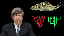 Stephen Jay Gould.12